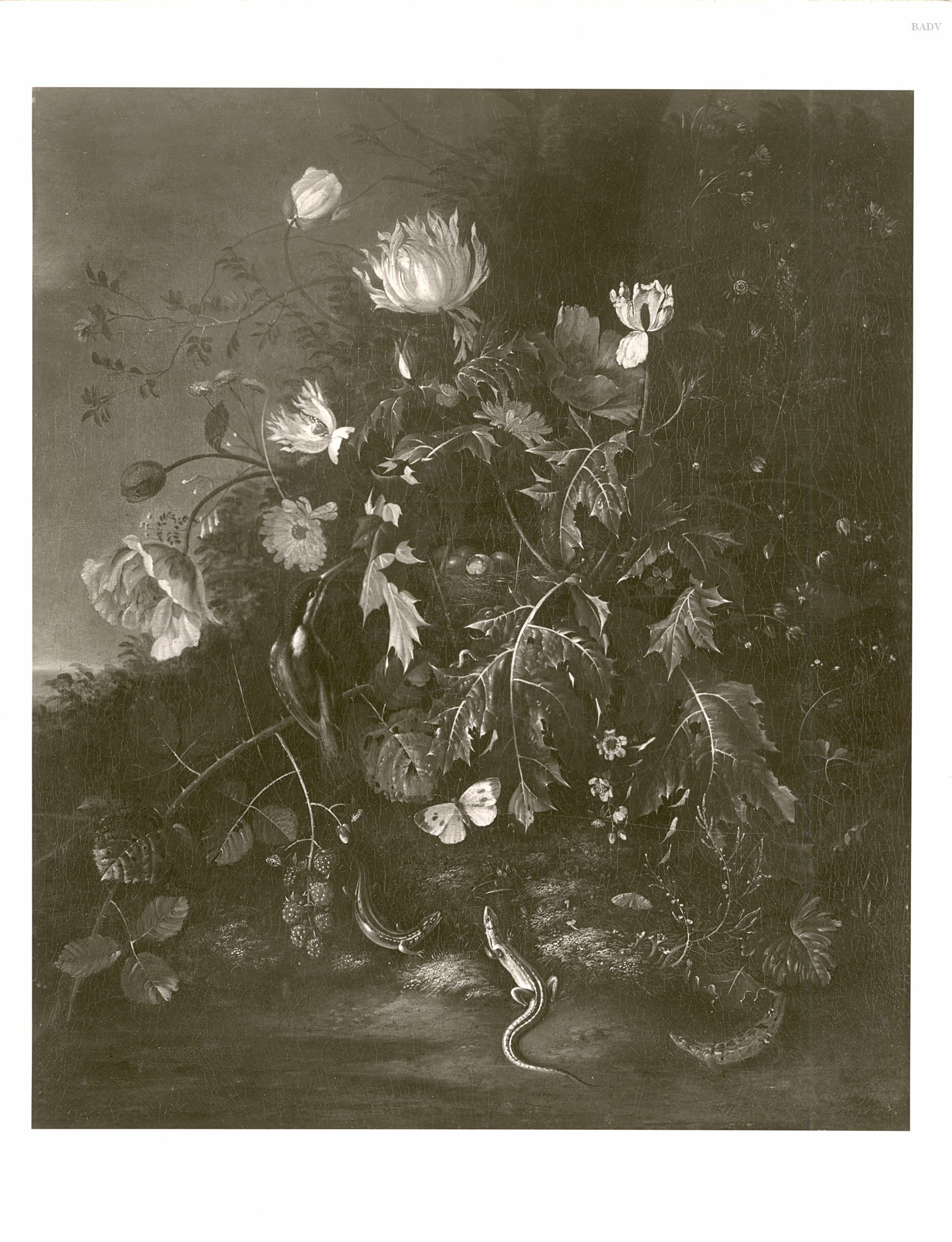 Flower still life with kingfisher and lizard in a landscape